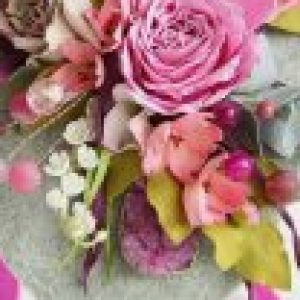 Profile photo of samaka