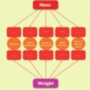 Profile photo of MS/somaya