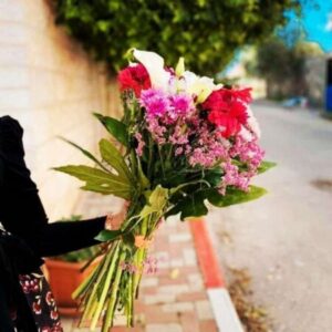 Profile photo of Zeinab Mohamed abd Elsadek