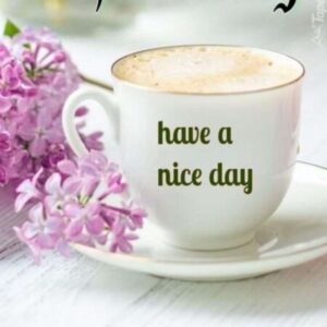 Profile photo of Asmaa Nassar