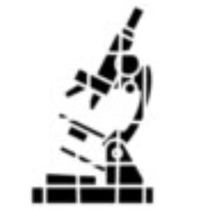 Profile photo of Eman Elsheshtawy