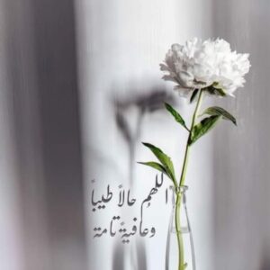 Profile photo of fayza £lmasry